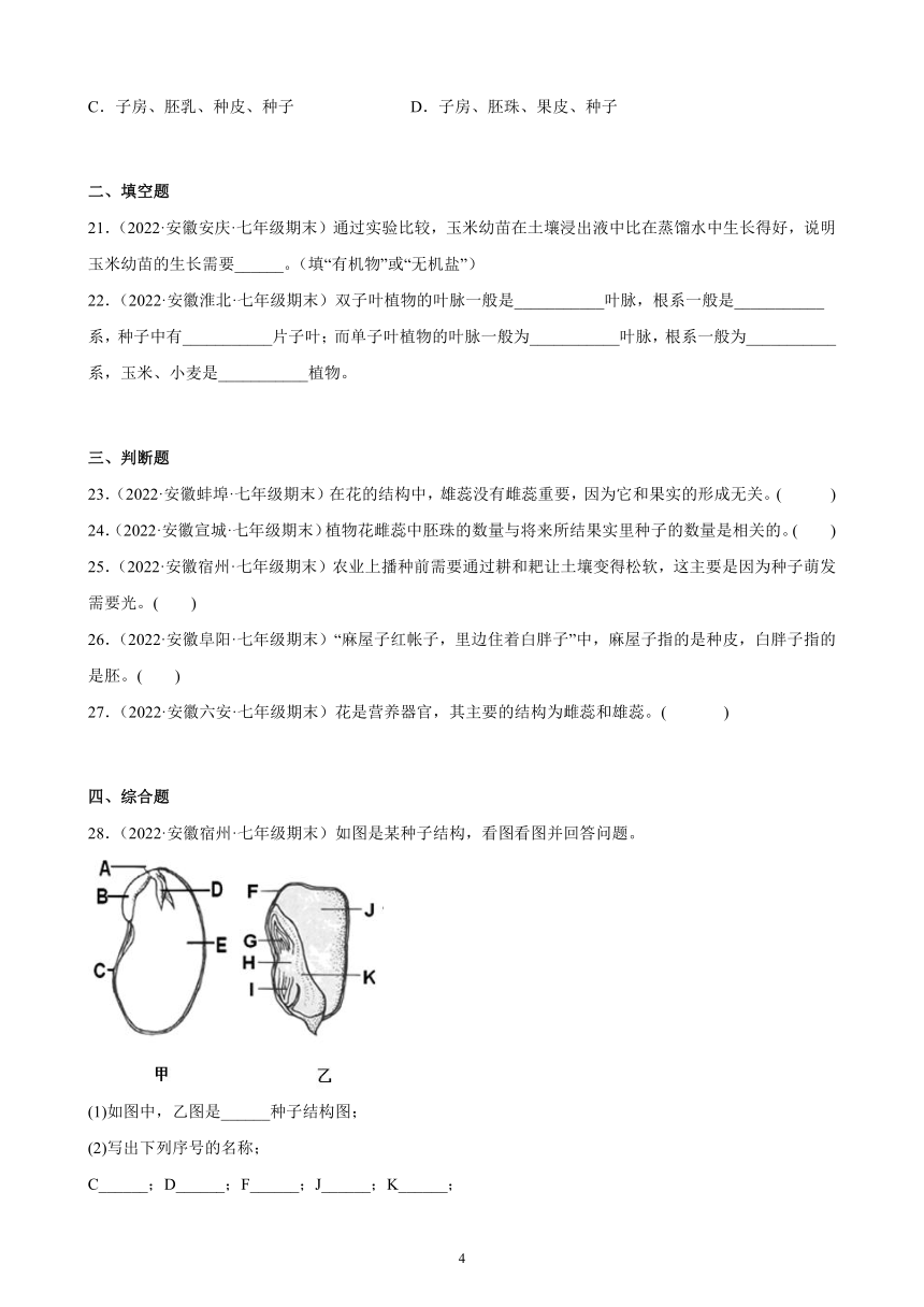 2021-2022学年安徽省各地人教版生物七年级上册 3.2 被子植物的一生 期末试题选编 （含答案）