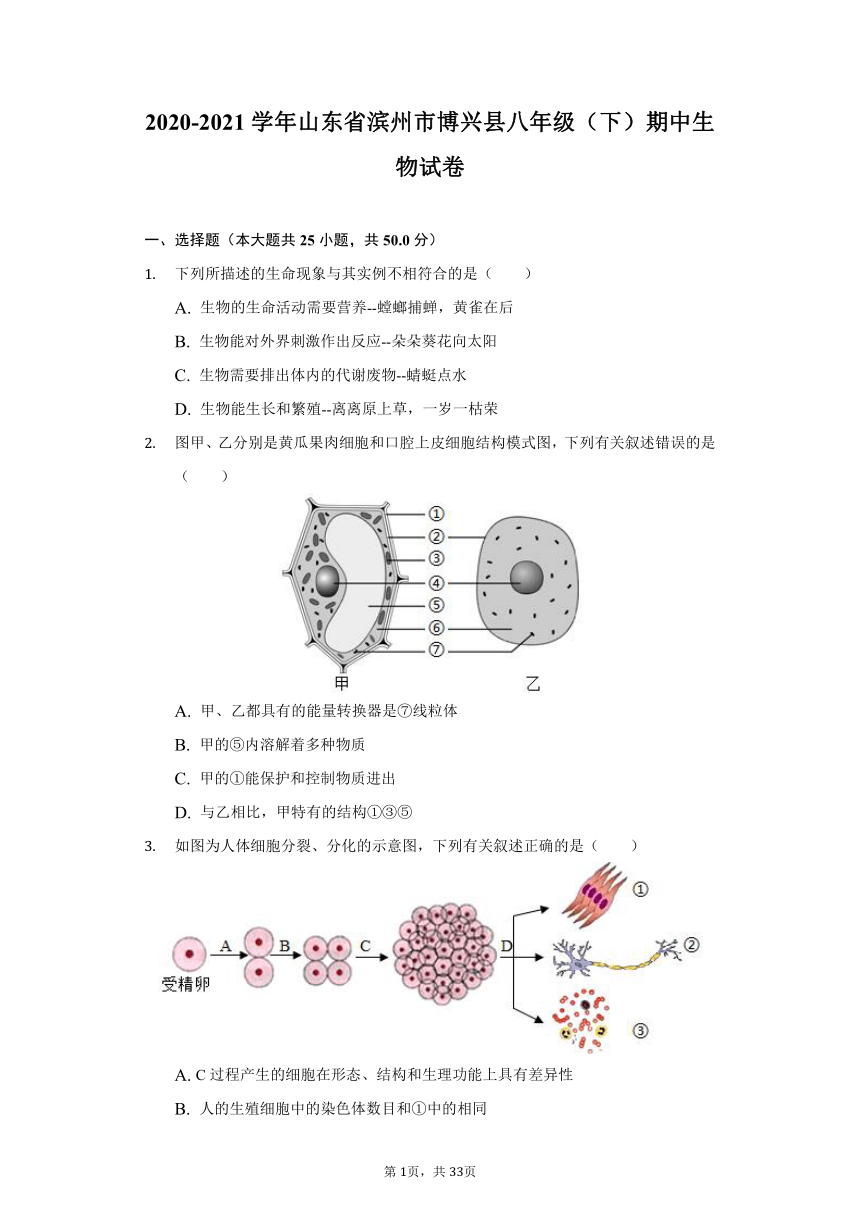 2020-2021学年山东省滨州市博兴县八年级（下）期中生物试卷（word版含解析）