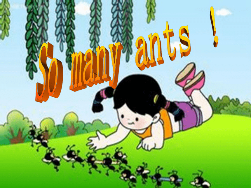 Lesson W So many ants! 课件 （共33张PPT）