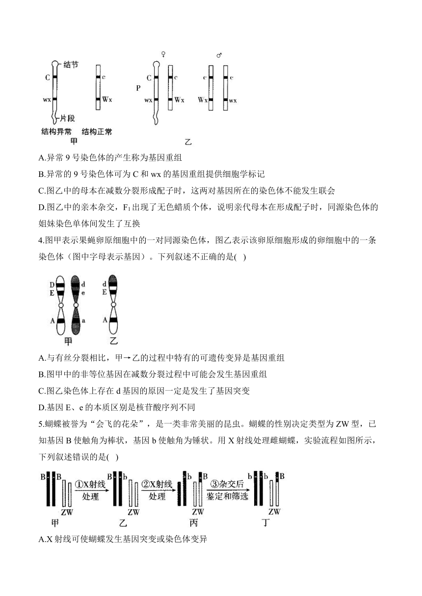 2024 届高考生物学核心考点小题限时练：生物的变异与进化（含解析）