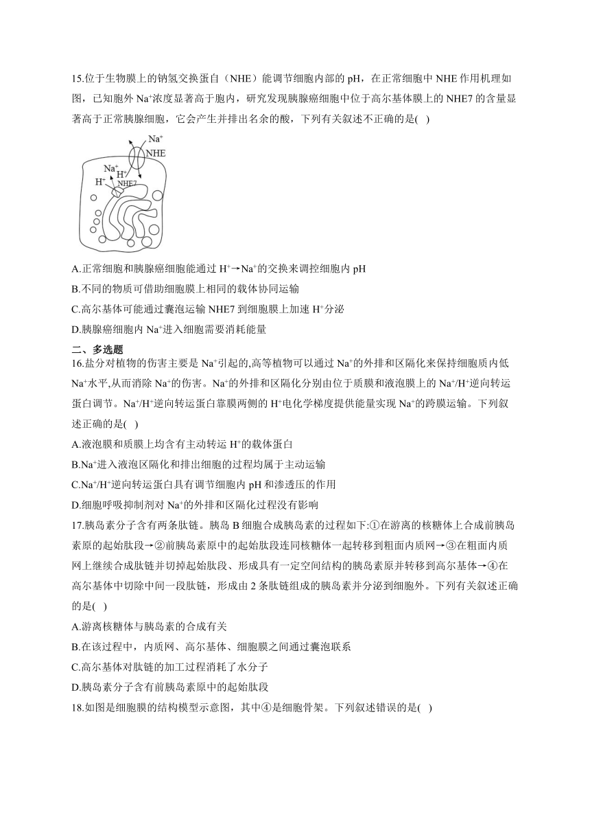 新课标新高考2022届高考生物二轮复习专题练（一）：细胞的基本组成和物质运输（江苏地区使用）（word版有答案）