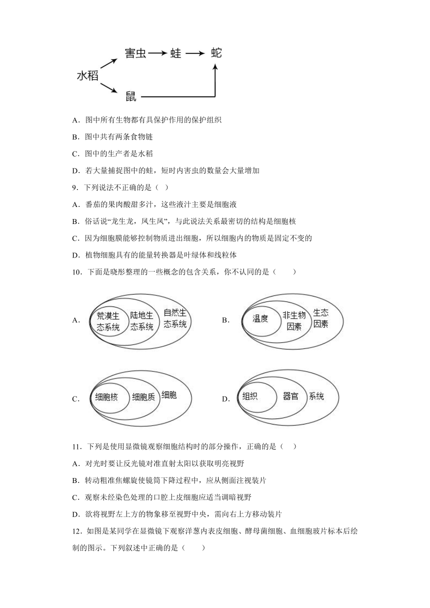 人教版生物七年级上册第二单元  生物体的结构层次  测试题（word版 有答案）