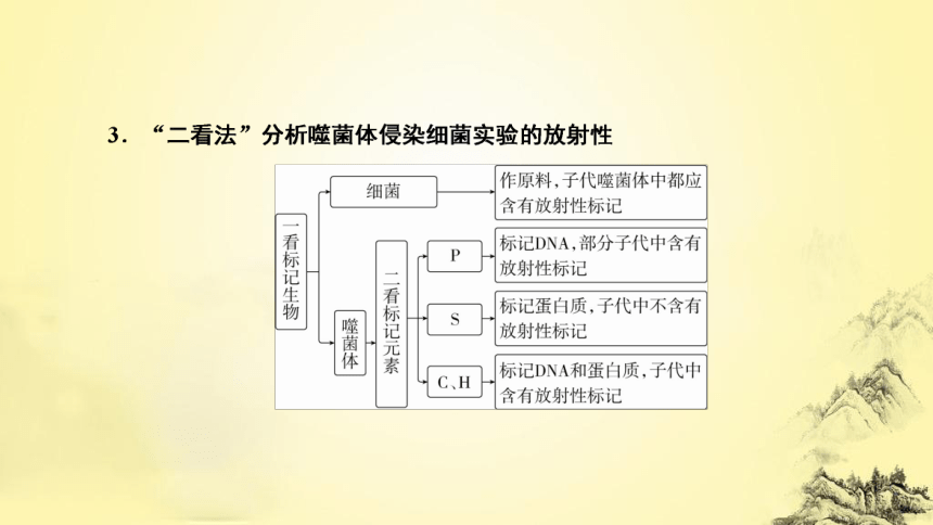 新人教生物二轮复习课件7 遗传的分子基础(课件共72张PPT)