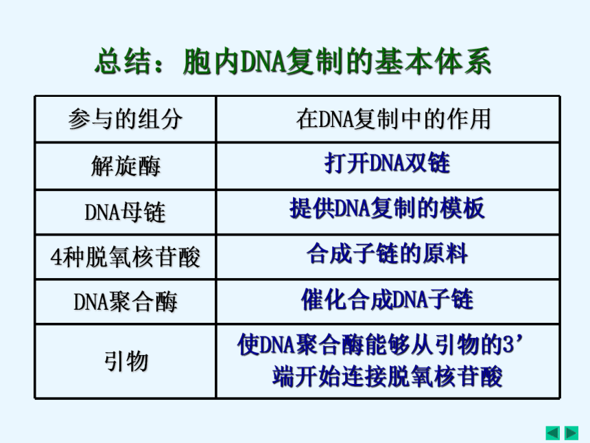 人教高中生物选修一5.2多聚酶链式反应扩增DNA片断 课件（27张ppt）