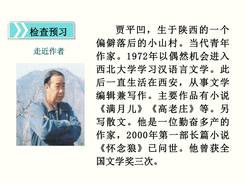 19*一棵小桃树 课件（幻灯片16张）