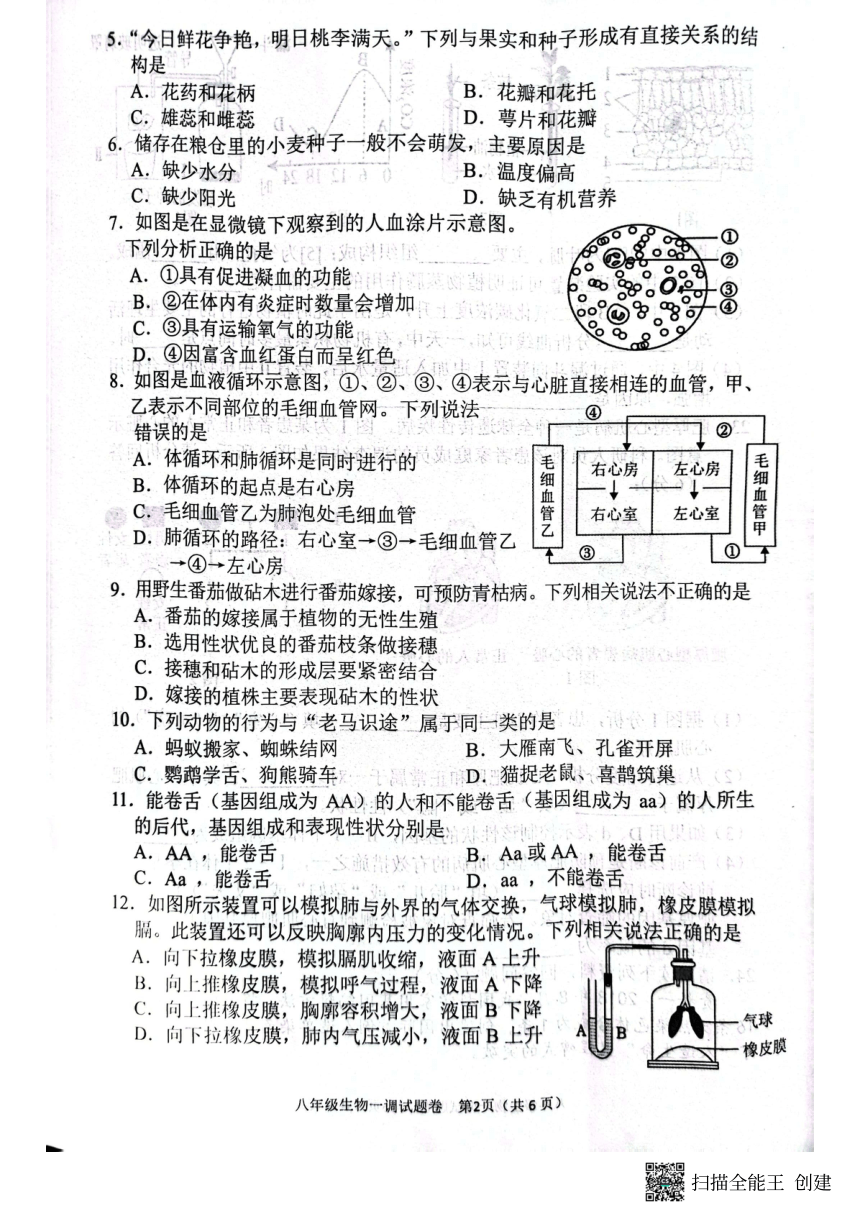 2024年河南省南阳市八年级第一次调研测试生物试题（pdf版无答案）