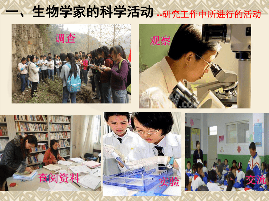 北师大版七年级上册生物 1.2.1生物学是探索生命的科学 课件(共25张PPT)