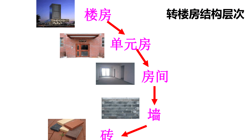 六年级科学下册课件 - 4人体的组成 （课件共18张PPT）