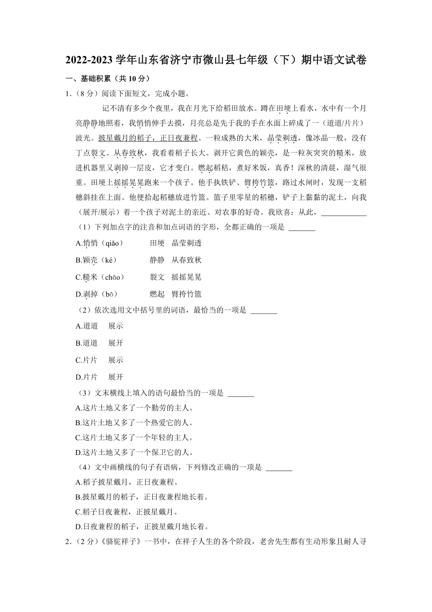 山东省济宁市微山县2022-2023学年七年级下学期期中语文试题（含解析）