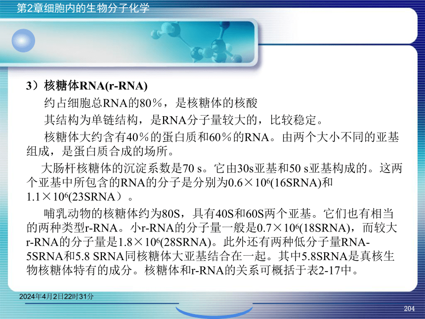 2.5核酸化学 课件(共47张PPT）- 《环境生物化学》同步教学（机工版·2020）