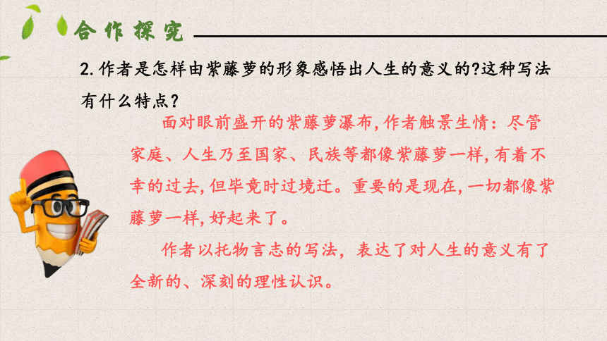 18  紫藤萝瀑布  第二课时  课件