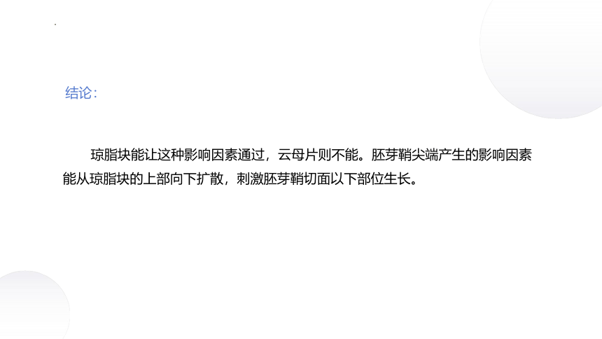 4.1+植物生长素（课件）-2022-2023学年高二生物同步精品课堂（苏教版2019选择性必修1）(共38张PPT)