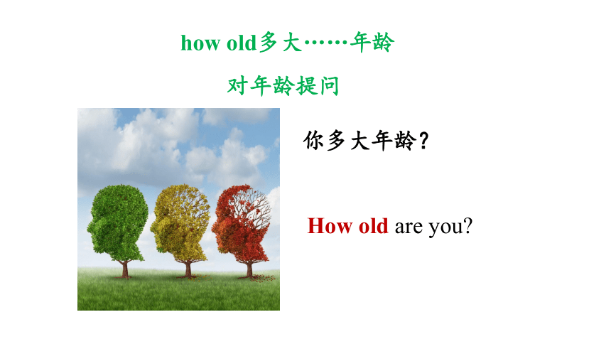 1.3 Unit 1 Making friends Grammar(课件）