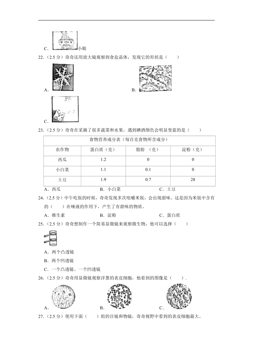 2022年广东省深圳市光明区小升初科学试卷（Word版，含答案）