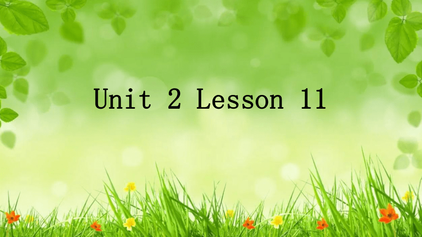 Unit 2 Lesson 11 To China, with Love课件 2022-2023学年英语冀教版九年级全册(共18张PPT)