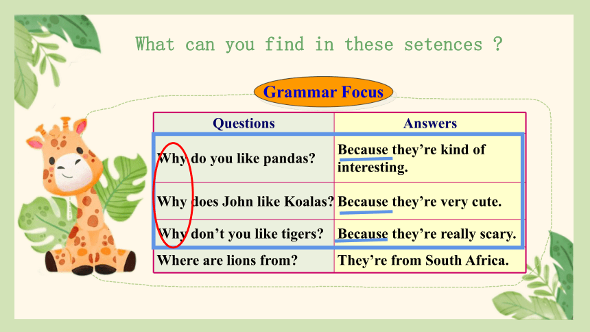 Unit5 Why do you like pandas? SectionA Grammar focus-3c 课件