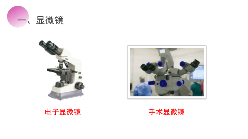 人教版物理八年级上册课件：5.5 显微镜和望远镜（共38张PPT）