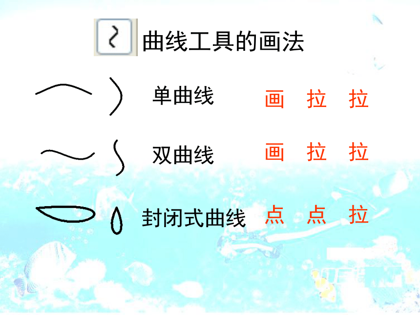 三年级上册信息技术课件  10曲曲直直线条画 鱼儿比美（14ppt）