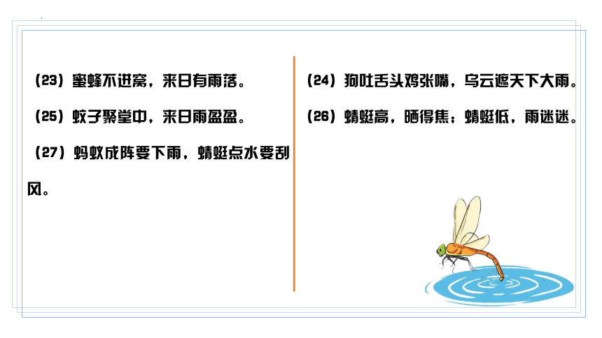 部编版语文六年级下册小升初专项复习 专题08 积累与运用 课件 (共49张PPT)