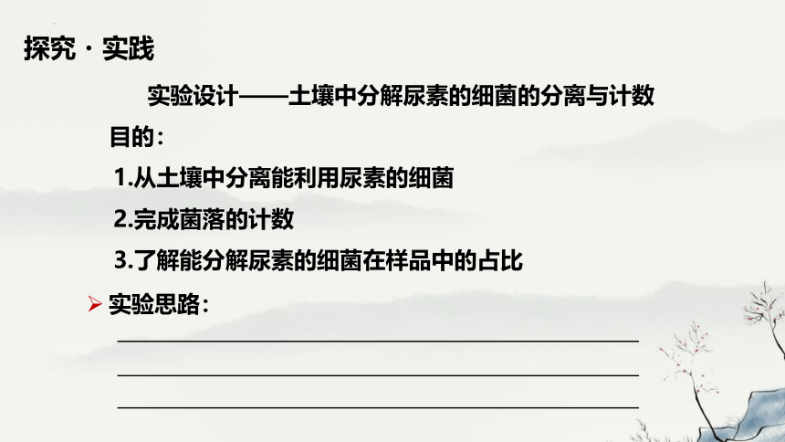 1.2.2土壤中分解尿素的细菌的分离与计数课件(共27张PPT)-人教版选择性必修3