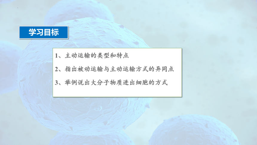 4.2 主动运输与胞吞、胞吐-高一生物课件（共29张PPT）（人教版2019必修1）