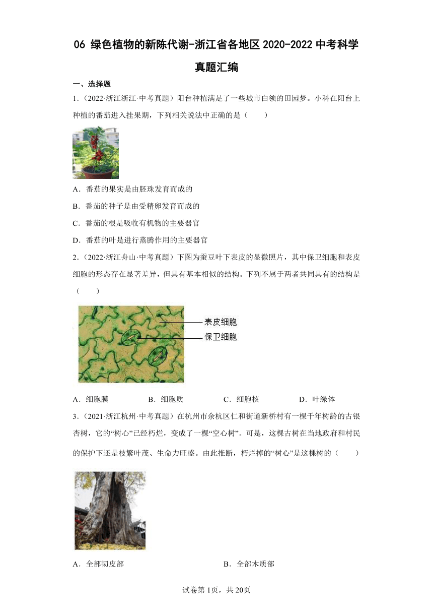 06绿色植物的新陈代谢-浙江省各地区2020-2022中考科学真题汇编（含解析）