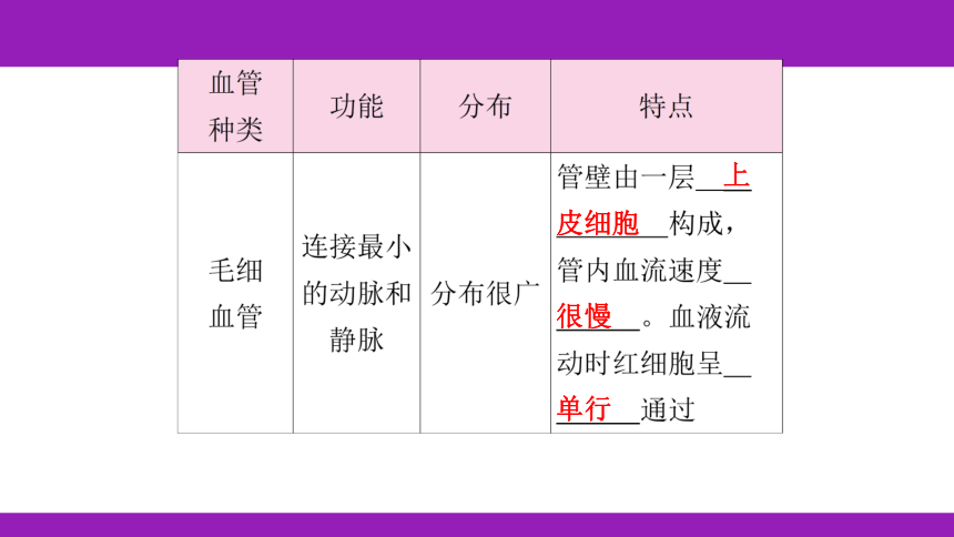 2023浙江中考一轮复习 第7课时 人体的物质和能量转换（二）（课件 60张ppt）