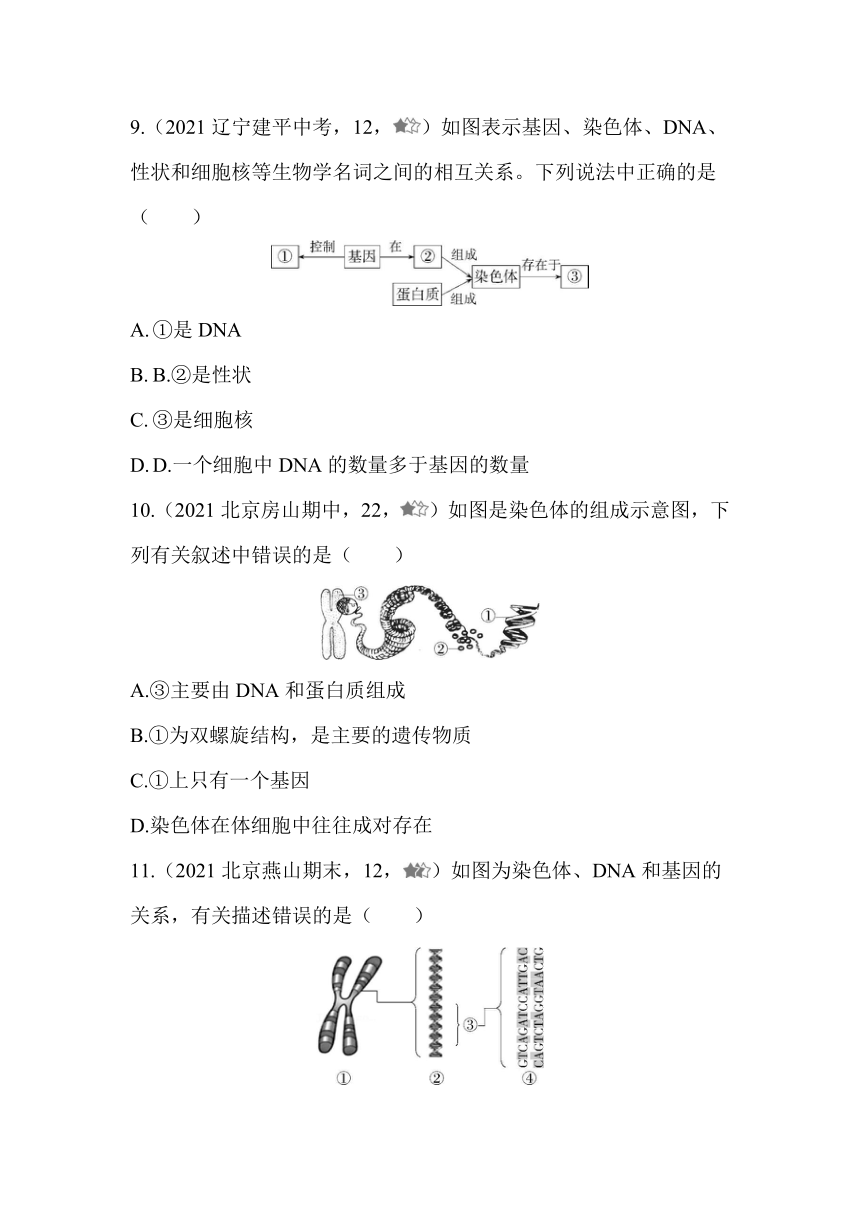 北京版生物学八年级上册11.2.2染色体、DNA 和基因的关系同步练习（含解析）