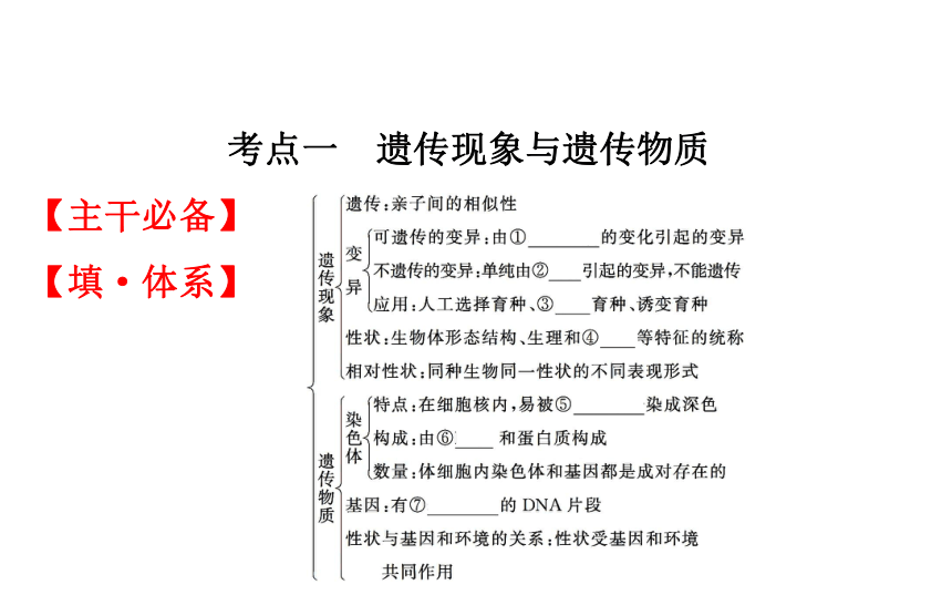 2021-2022学年人教版生物中考复习之生物的遗传与变异课件（80张PPT）