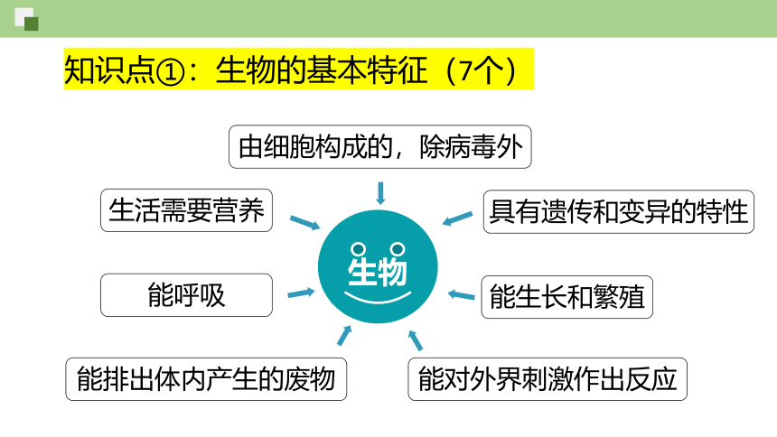 7.1.2昆虫的生殖和发育课件(共22张PPT) 人教版生物八年级下册