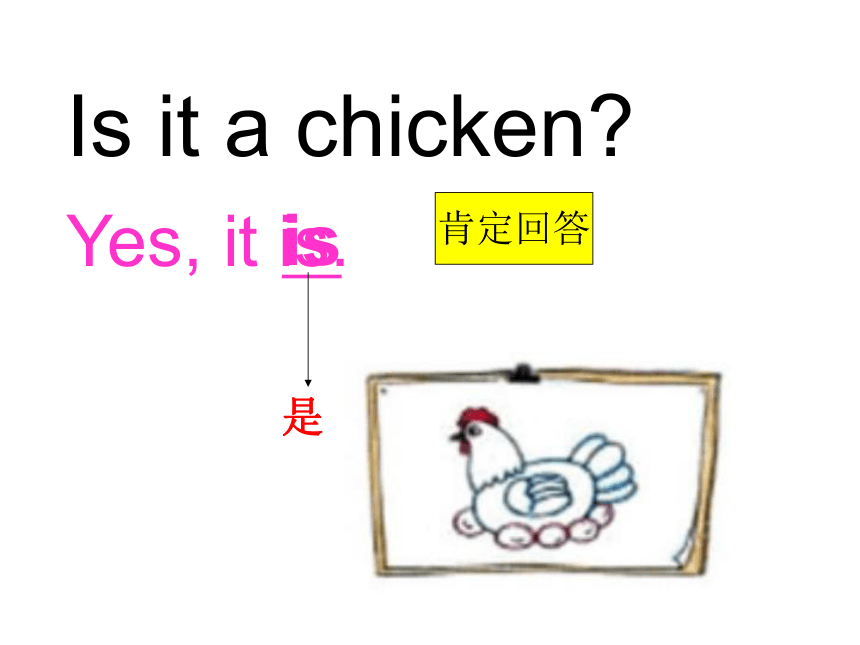 Unit 1  Lesson 2 Cats and Dogs课件（29张PPT）