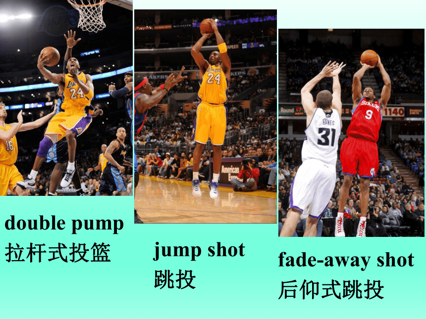 外研版 选修七Module 1  Basketball Introduction课件(共16张PPT)