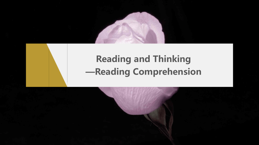 Unit 2 Reading and Thinking—Reading Comprehension(共35张PPT)
