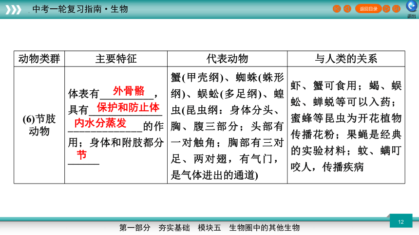 专题16 动物的主要类群-2023年新课标中考生物一轮复习课件（共46张PPT）