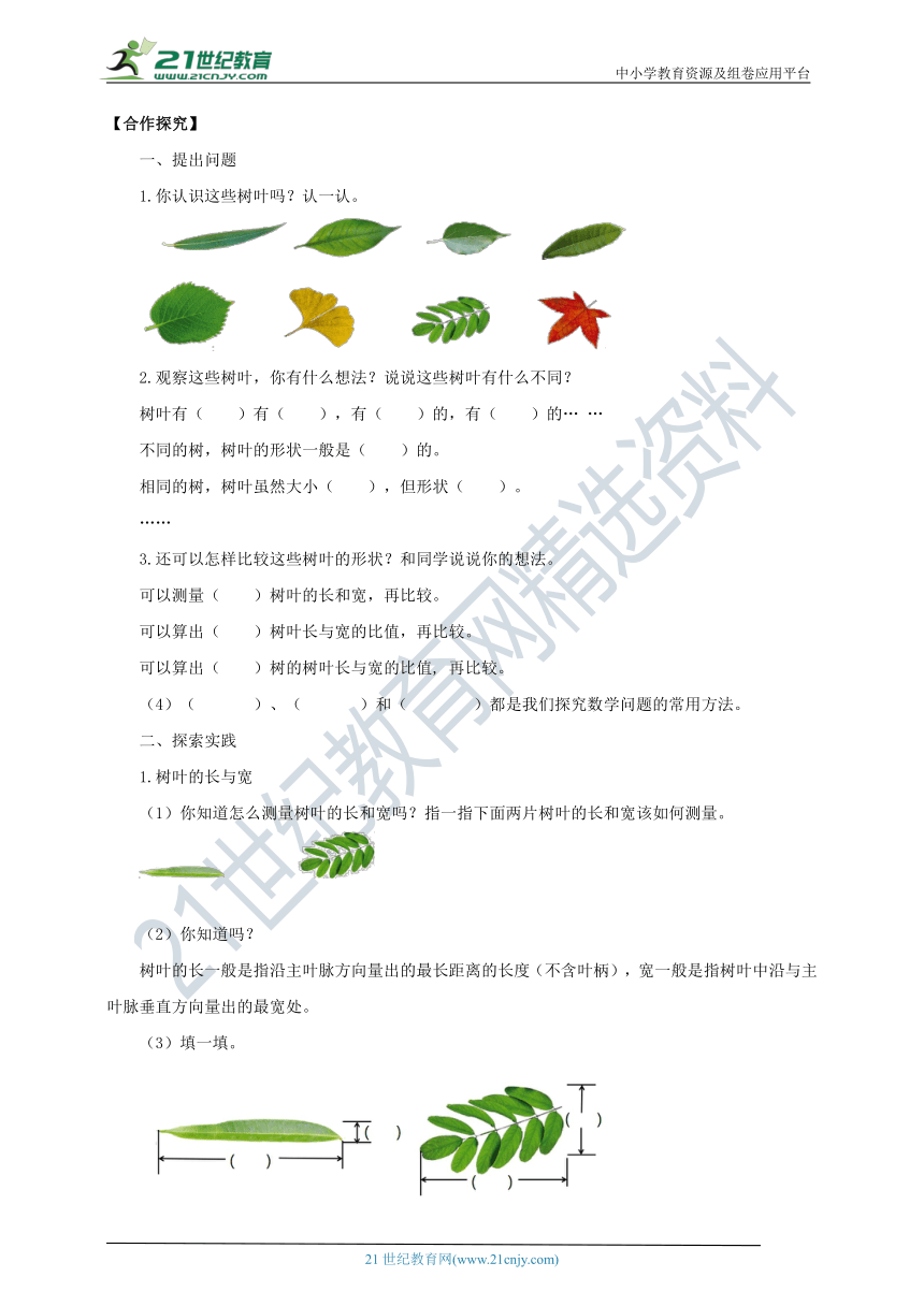 新课标苏教版六上3.9《树叶中的比》导学案