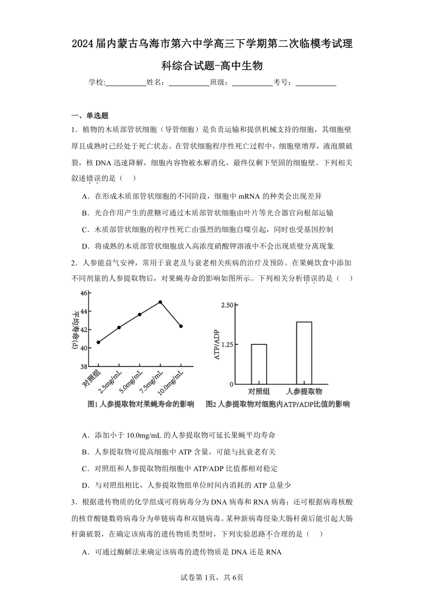 2024届内蒙古乌海市第六中学高三下学期第二次临模考试理科综合试题-高中生物（解析版）