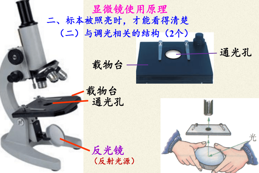 人教版七年级上册生物课件2.1.1练习使用显微镜-课件（43张PPT）