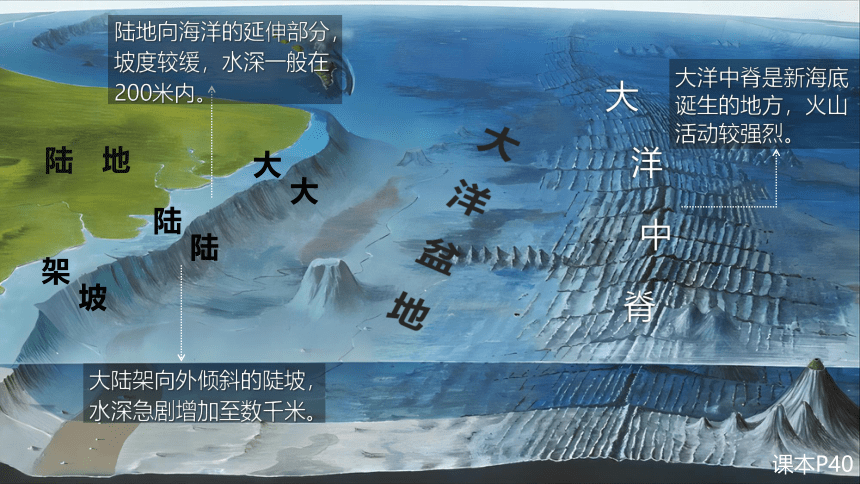 沪教版（上海）六年级地理第二学期：《2.5世界的海洋》课件(共21张PPT)