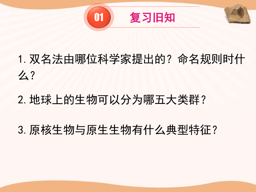 北师大版 八下 7.22. 2原生生物的主要类群  课件（共23张PPT）