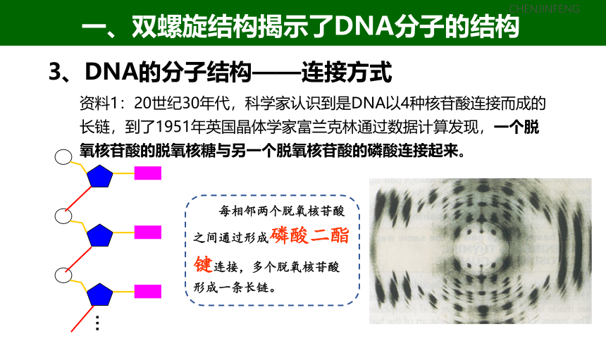2021-2022学年高一下学期生物浙科版（2019）必修2-3.2遗传信息编码在DNA分子上课件-（24张ppt）