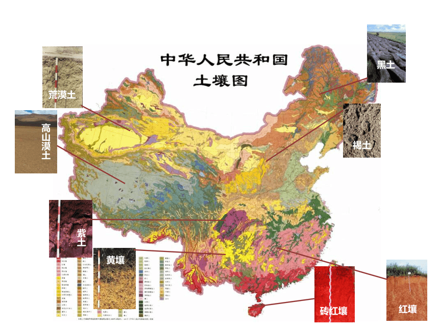 2.6土壤的主要形成因素课件(共19张PPT)