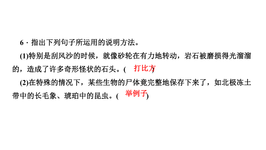 8 时间的脚印 讲练课件—四川省2020-2021学年八年级下册语文部编版（26张PPT）