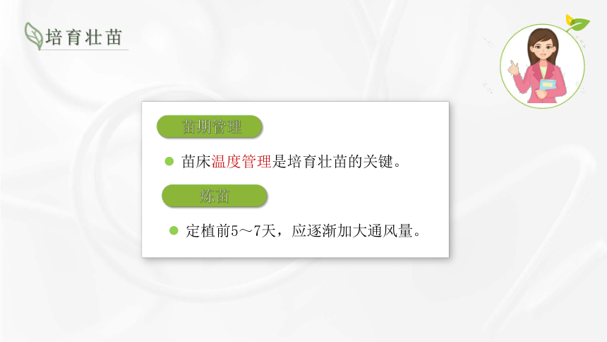 5.3露地春辣椒栽培技术 课件(共16张PPT)-《蔬菜生产技术》同步教学（湖南科技出版社）