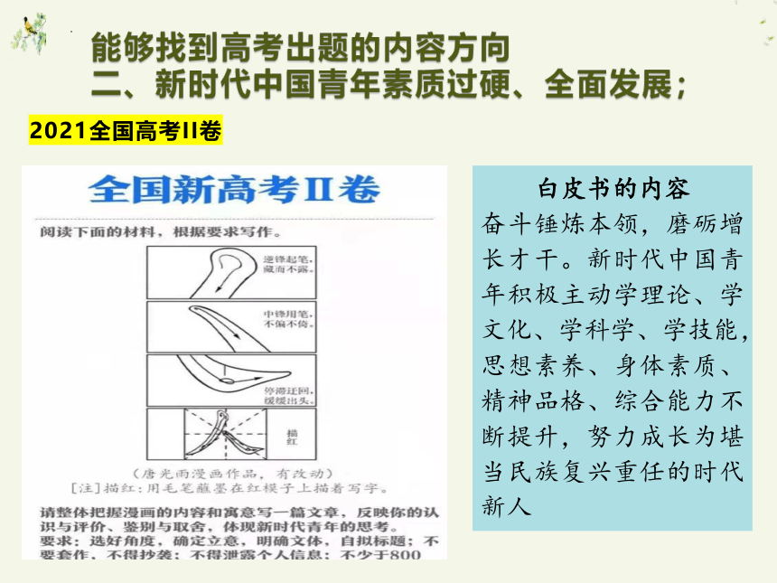 2023届高考作文复习： 青年白皮书与高考作文  课件(共27张PPT)