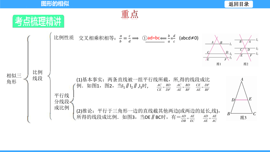 【大单元教学】鲁教版2023年八年级大单元 第九章图形的相似 课件（51张PPT）