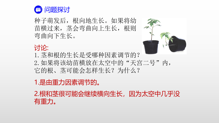 2021—2022学年高中生物人教版（2019）选择性必修一5.4 环境参与调节植物的生命活动课件（29张ppt）