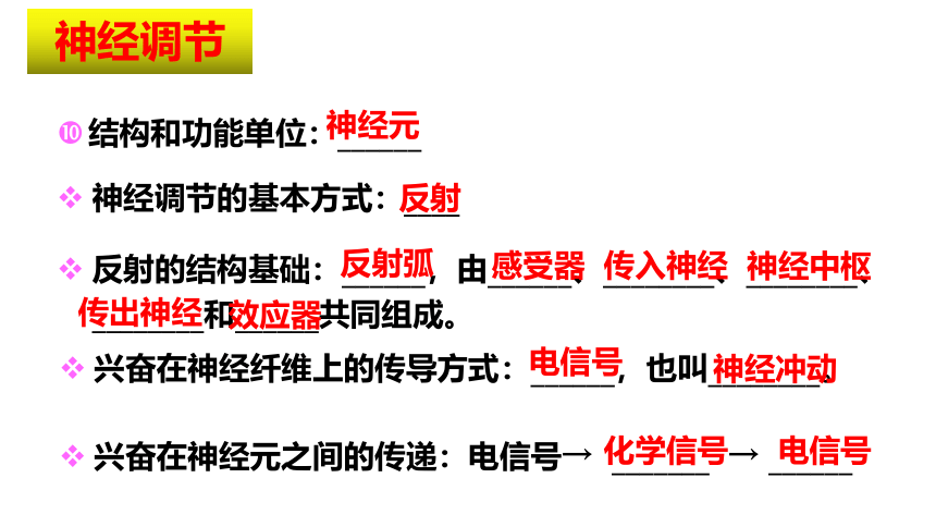 3.3体液调节与神经调节的关系课件2021-2022学年高二上学期生物人教版选择性必修1(共22张PPT)