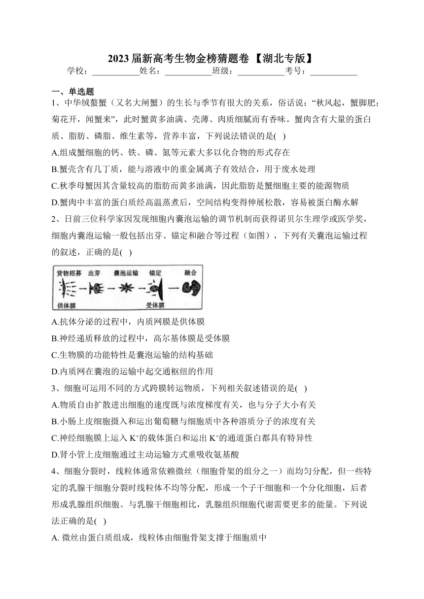 2023届新高考生物金榜猜题卷 【湖北专版】（含答案）