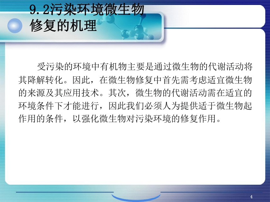 9.污染环境微生物修复的生物化学原理 课件(共44张PPT)- 《环境生物化学》同步教学（机工版·2020）