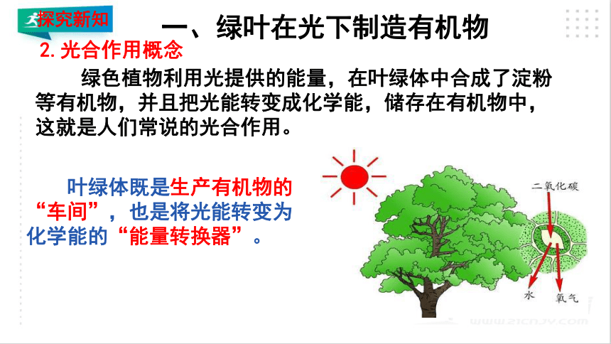 3.4 绿色植物是生物圈中有机物的制造者 课件（共19张PPT）